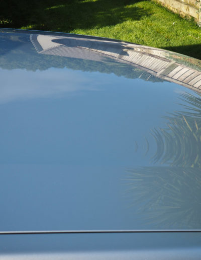 View over bonnet with plants and sky reflecting on paint after coating applied